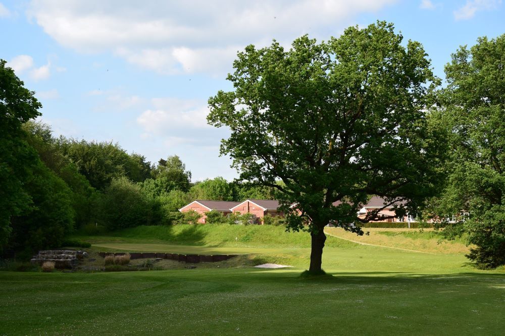 Wist je dat… Leopoldsburg haast een golfbaan kreeg? - Blog